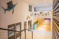  Vacation Hub International | The Blue Marlin Hotel Facilities