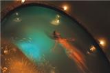  Vacation Hub International | Fordoun Hotel & Spa Facilities