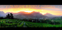  Vacation Hub International | Dieu Donné Vineyards Facilities
