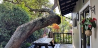  Vacation Hub International | Crooked Tree Cottage B&B Facilities