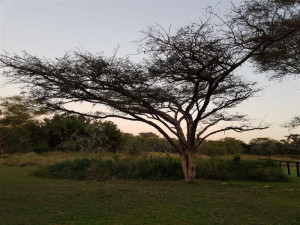  Vacation Hub International | Malala Lodge Facilities