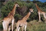  Vacation Hub International | Buffelsfontein Game & Nature Reserve Facilities