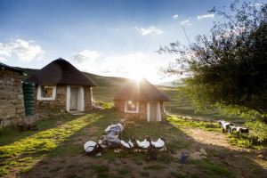  Vacation Hub International | Khotso Lodge & Horse Trails Facilities