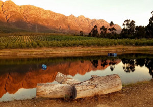  Vacation Hub International | Fraaigelegen Farm, Tulbagh Facilities