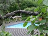  Vacation Hub International | Royal Tree Lodge Facilities