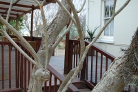  Vacation Hub International | Glencoe Guest House Facilities