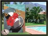  Vacation Hub International | Bakone Malapa Northern Sotho Open-Air Museum Facilities
