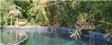  Vacation Hub International | The Phantom Forest Facilities