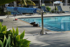  Vacation Hub International | Marina Park Apartments Facilities