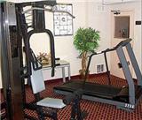  Vacation Hub International | Comfort Inn & Suites Washington Dulles International Airpor Facilities