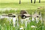  Vacation Hub International | Indaba Lodge Facilities
