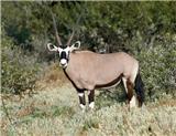  Vacation Hub International | Karoo Rus Guest Farm Facilities