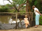  Vacation Hub International | Pongola Tropical Facilities