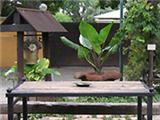  Vacation Hub International | Die Groen Koei Guesthouse Facilities