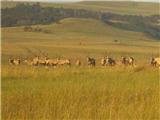  Vacation Hub International | Schuilklip Game Farm Facilities