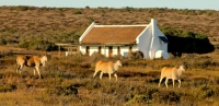  Vacation Hub International | Jo Anne's Beach Cottage Facilities