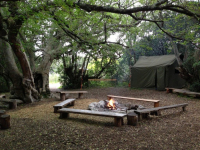  Vacation Hub International | Platbos Forest Facilities