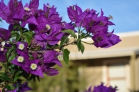  Vacation Hub International | Travellers Rest B&B Facilities