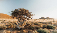  Vacation Hub International | Sweetfontein Boutique Farm Lodge Facilities