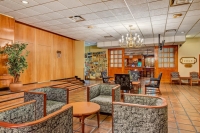  Vacation Hub International | BON Hotel Bloemfontein Central Facilities