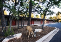  Vacation Hub International | Yavapai Lodge Facilities