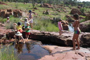  Vacation Hub International | Bateleur Nature Reserve Facilities