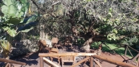  Vacation Hub International | Kosi Bay Bush Lodge Facilities