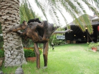  Vacation Hub International | Bird's Nest Guest House Facilities