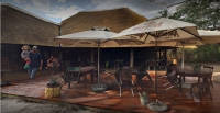  Vacation Hub International | Tembe Elephant Park Lodge Facilities