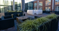  Vacation Hub International | Best Western Plus City Hotel Gouda Facilities