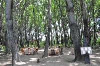  Vacation Hub International | Linwood Guest Farm Facilities