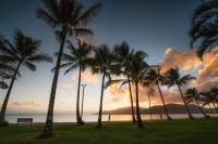  Vacation Hub International | Coral Tree Inn Facilities