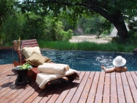  Vacation Hub International | Rhino Post Safari Lodge Facilities
