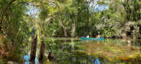  Vacation Hub International | AfriCamps at Ingwe Facilities