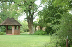  Vacation Hub International | Willows guest house Facilities