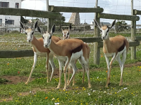  Vacation Hub International | The Stables Cottages Facilities