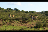  Vacation Hub International | Baardbos Private Nature Reserve Facilities