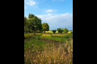  Vacation Hub International | Its-Anners Guesthouse Facilities