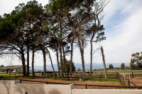  Vacation Hub International | Bona Vista Facilities