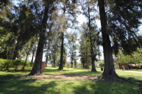  Vacation Hub International | Asante Sana Holiday Village Facilities