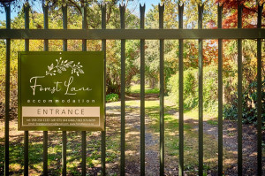  Vacation Hub International | Forest Lane Facilities