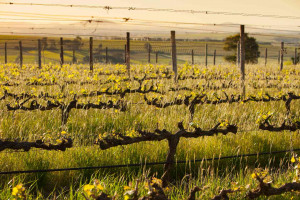  Vacation Hub International | Domaine Coutelier Facilities