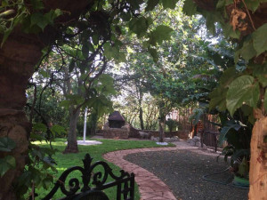  Vacation Hub International | Rainforest Boutique Camp Facilities