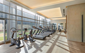  Vacation Hub International | Andaz Delhi Facilities