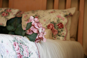  Vacation Hub International | Fox's Hill Guest House Facilities