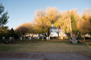  Vacation Hub International | New Holme Karoo Guest Farm Facilities