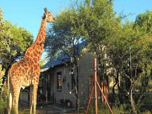  Vacation Hub International | Marulani Bush Lodge Facilities