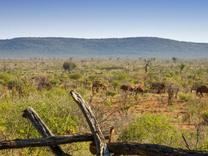 Vacation Hub International | Lelapa Lodge Facilities