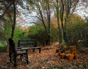  Vacation Hub International | Birches Cottage Facilities
