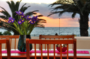 Vacation Hub International | Afribode International - Afribode's Adenium Beachfront Facilities